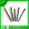 Slotted Torx Head Shoulder Screw